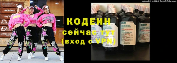 хмурый Бородино