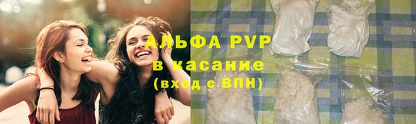 хмурый Бородино