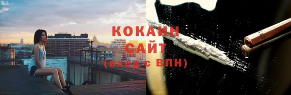 кокс Богородицк