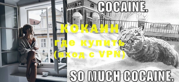 хмурый Бородино