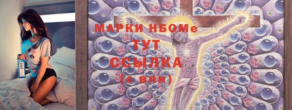 хмурый Бородино