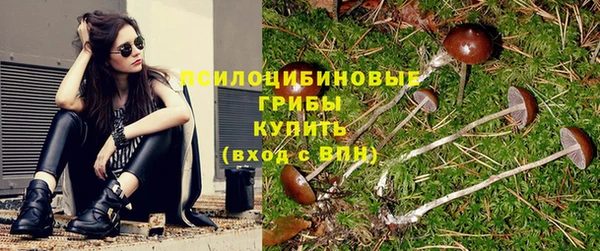 каннабис Богданович