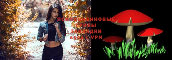 хмурый Бородино