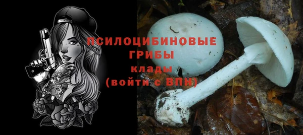 хмурый Бородино